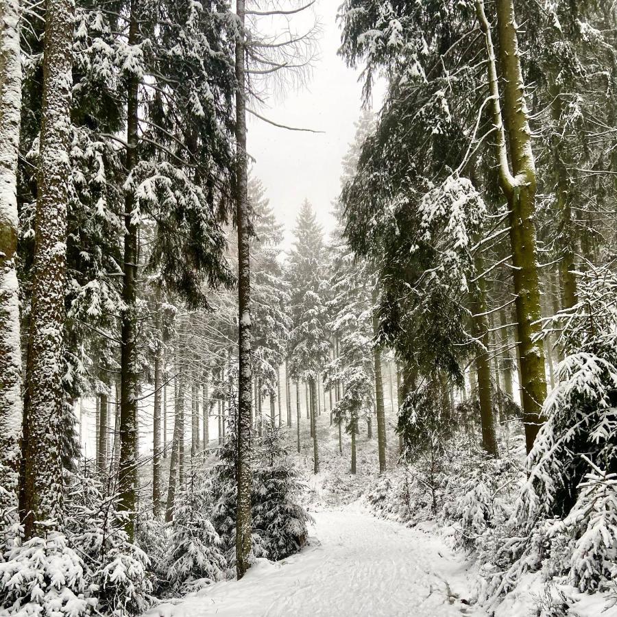 Harz Is Calling Goslar Luaran gambar