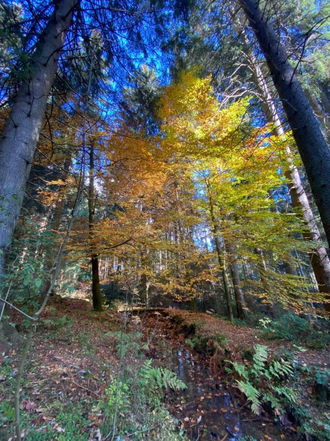 Harz Is Calling Goslar Luaran gambar