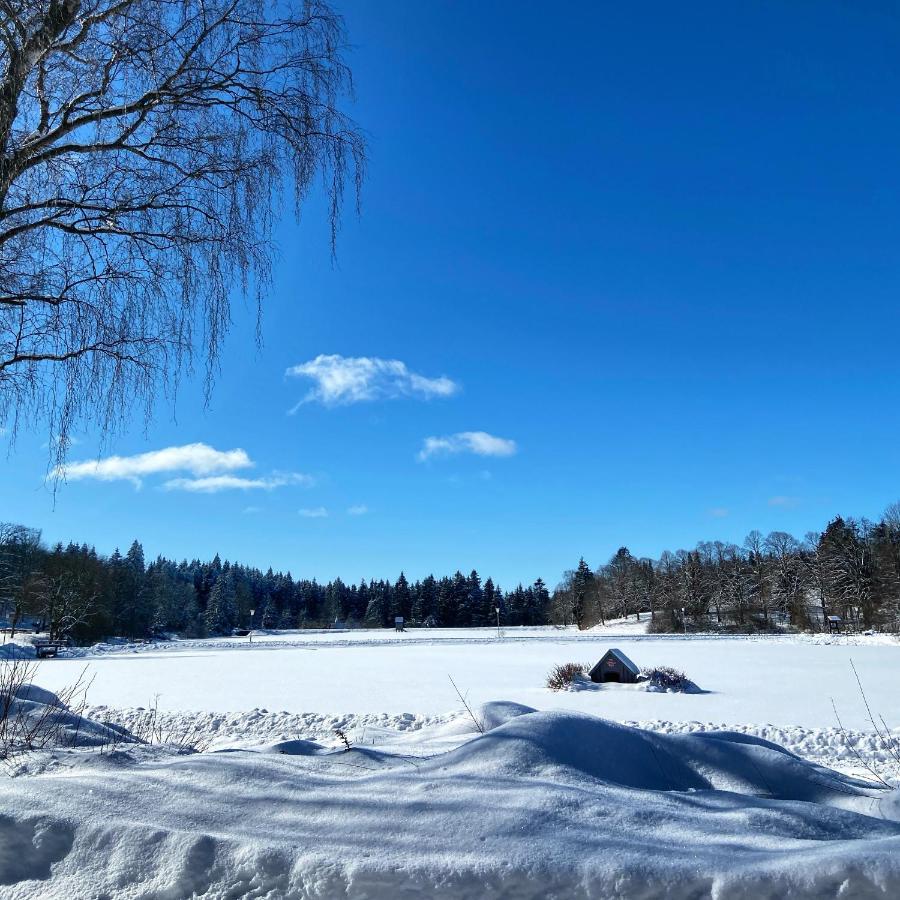 Harz Is Calling Goslar Luaran gambar