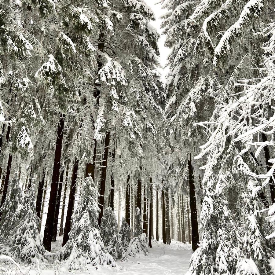 Harz Is Calling Goslar Luaran gambar