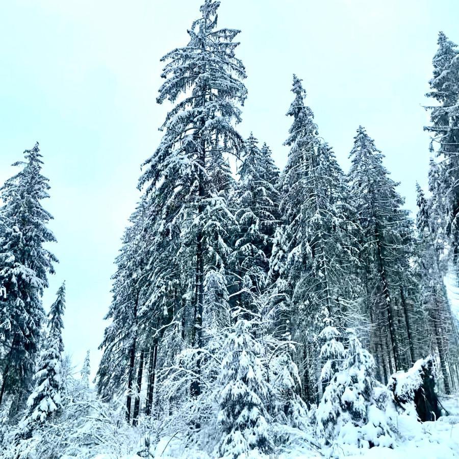 Harz Is Calling Goslar Luaran gambar